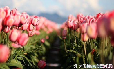 羞羞的句子