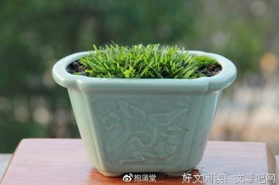 正确度夏的打开方式