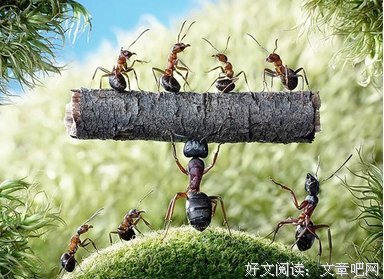 最全的《我用尽青春只为寻你》经典名句大全