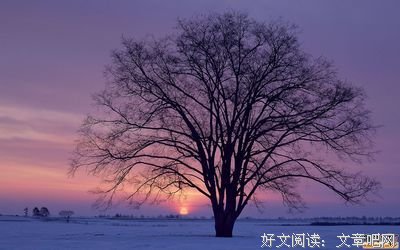 随笔一篇
