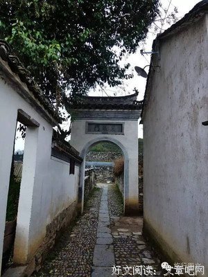 千年鲤鱼身怀六甲，将其放生后，整个村子被洪水淹垮！