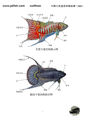 生于一九九叉读后感10篇