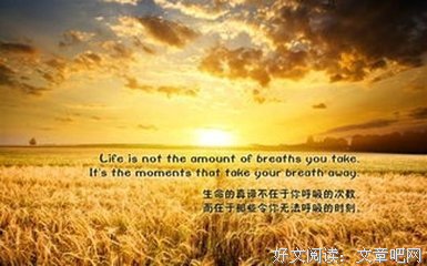 摘抄句子