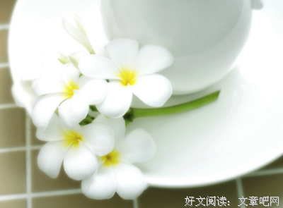 顿悟优美的句子