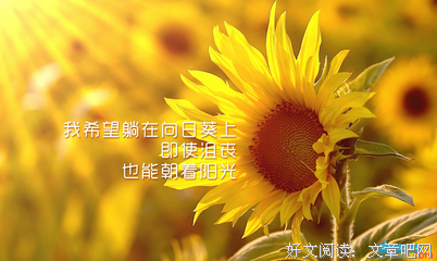触碰心底短句优美的句子