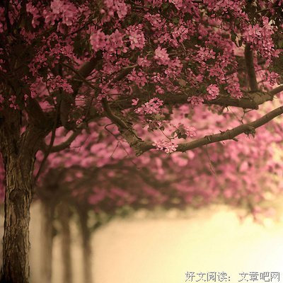 关于零落成名言名句