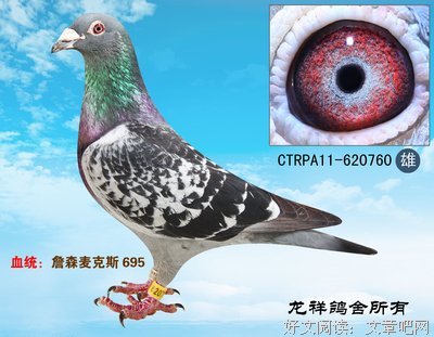 关于麦克斯的格言