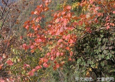 《宗镜录》经典语句