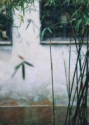 让李白告诉你，为什么好朋友会慢慢变淡？