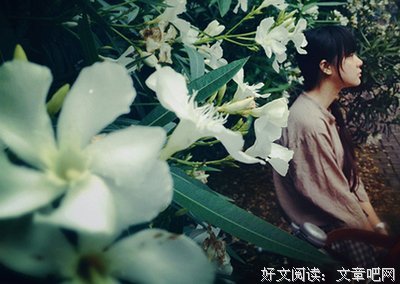 《岁月间》小说摘抄大全