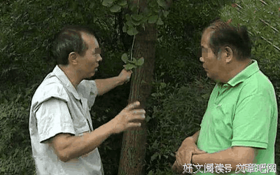 婚后不想被婆婆看不起，你就要做到这几点