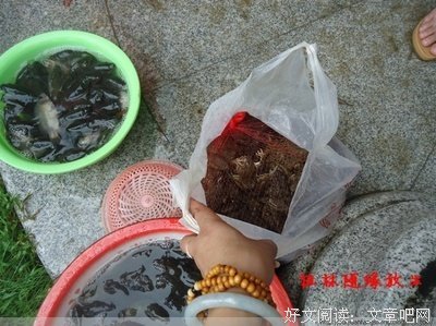 观音菩萨成道日，无量慈光护佑你！