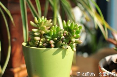 人你都冷暖 如盲人摸事打名句欣赏