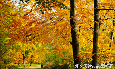 《美景》的句子