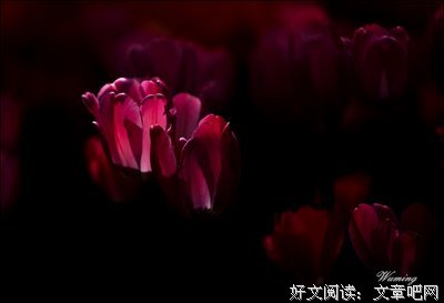 暧昧句子大全