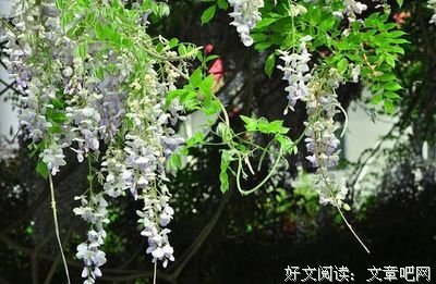 放下一个人，需要这5个阶段。