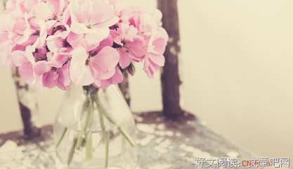 最新的《我们仨》唯美语录
