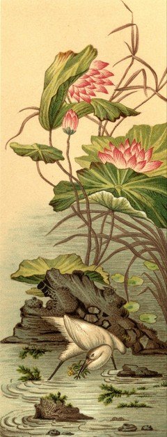 《被遗忘的故事》经典读后感10篇