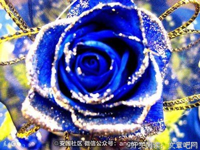 是不是18岁遇见所爱之人，都会感到无能为力？