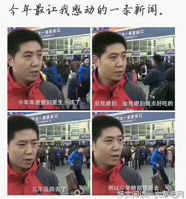 倪萍大姐终于走了