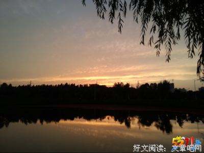 关于七嘴八舌的语句