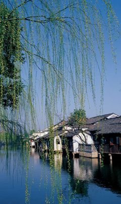 15条关于高山流水的经典语句