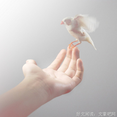 最经典的《晴天、》经典句子