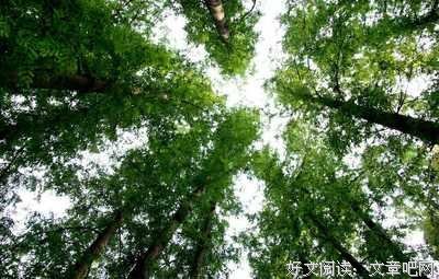 爱的回忆的读后感10篇