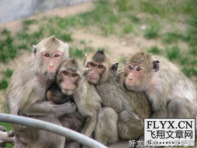怎样看待卜卦占星学中的自由意志和命运?