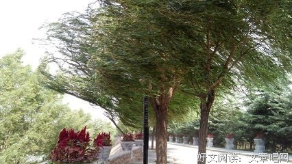 心中有阳光，处处皆灿烂