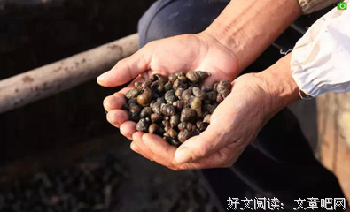 “你去躺着吧，活我来就行”