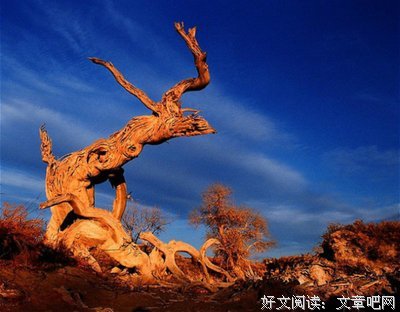 许立志经典名句