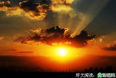 影子优美的句子