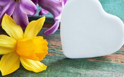 淡淡的忧伤的优美句子