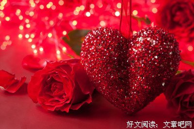 张张优美的句子