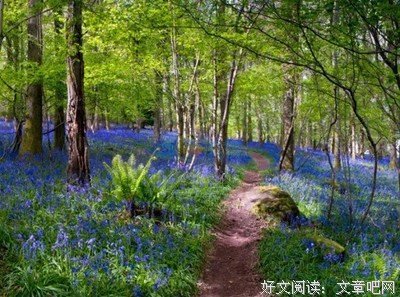 心理测试：4条路，你选哪条路，测测你的桃花运，我的桃花运很少