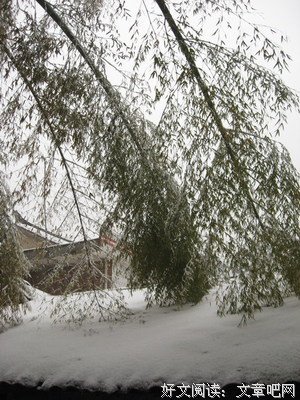 关于大雪纷飞的唯美语录