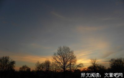 关于空洞无物的语句