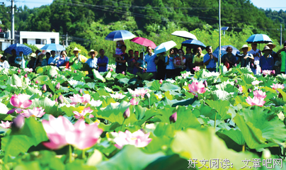 层层叠叠的名言_关于层层叠叠的名言
