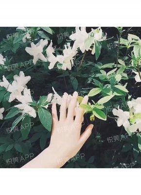 她是胡适最想娶的女人，却嫁了个完美丈夫，冰心林徽因都是她的学