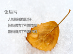 关于得人心的语句