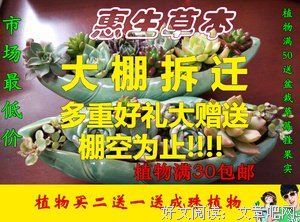 鲁地的名句_关于鲁地的名句