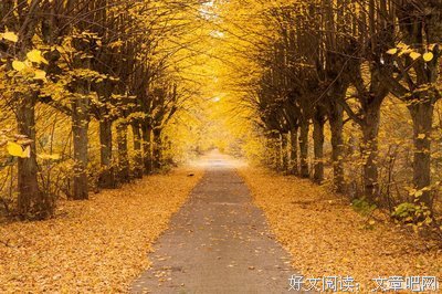有关飘零久_i名言大全