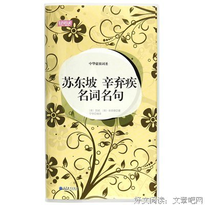 有关苏轼名言大全