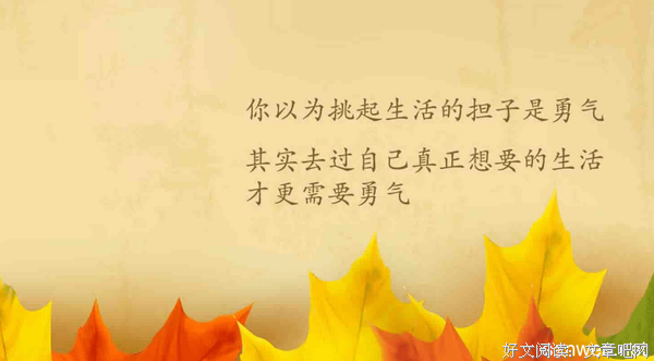 最全的《重新发现自我》好段摘抄