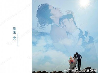 《海豚湾恋人》观后感10篇