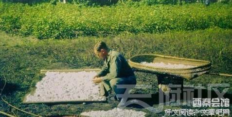 飞虎队员留下的珍贵彩照：1945年的成都，漂亮得像油画一般