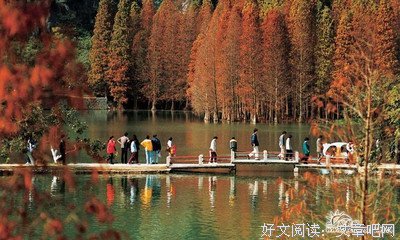 人生回头看，走好前方路