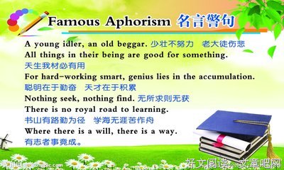 出乎意料格言警句