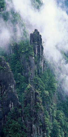 幽静的名句_关于幽静的名句